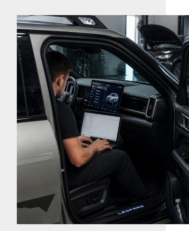 Русификация BYD Leopard 3 в Карпинске по цене от 20433 р. | ФастМобиль-Кпн